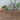 Quick Step Alpha Bloom Autumn Oak Chocolate LVT Flooring AVMPU40199 - SAMPLE