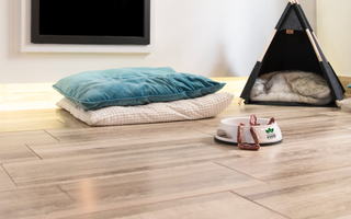 How to Choose the Right Flooring for Your Pet