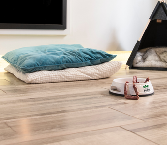 How to Choose the Right Flooring for Your Pet