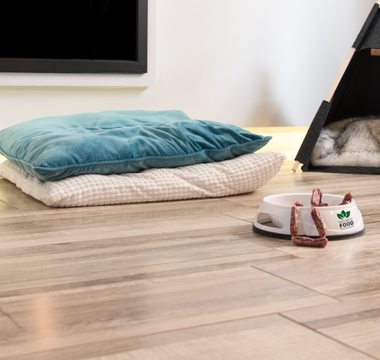 How to Choose the Right Flooring for Your Pet