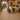 Floorpacks Fascino Plank Salted Smoke 2.5mm LVT Flooring