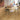 Quick Step Alpha Blos Coast Oak Honey LVT Flooring AVSPU40320 - SAMPLE