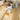 Quick Step Alpha Bloom Brushed Oak Honey LVT Flooring AVMPU40318 - SAMPLE
