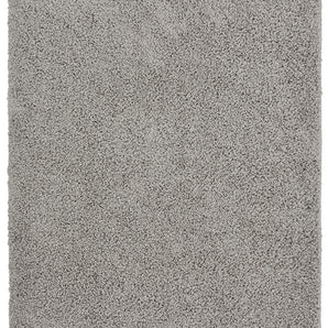 Jazz Shaggy Silver Rug