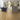 Quick Step Majestic Woodland Oak Natural Laminate Flooring 9.5mm MJ3546 - SAMPLE